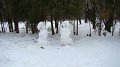 DSC09640