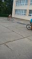 DSC00529