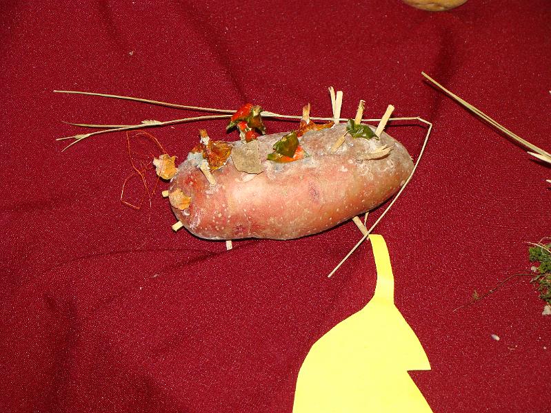DSC06752.JPG