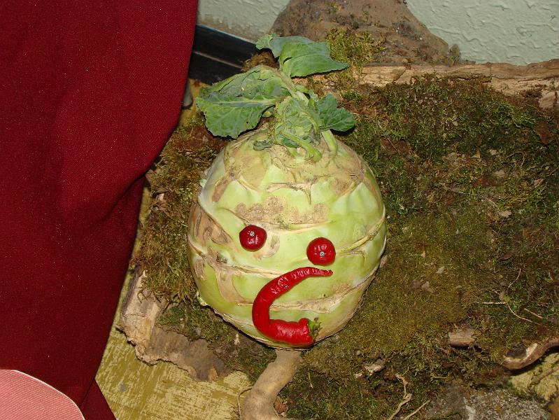 DSC06753.JPG