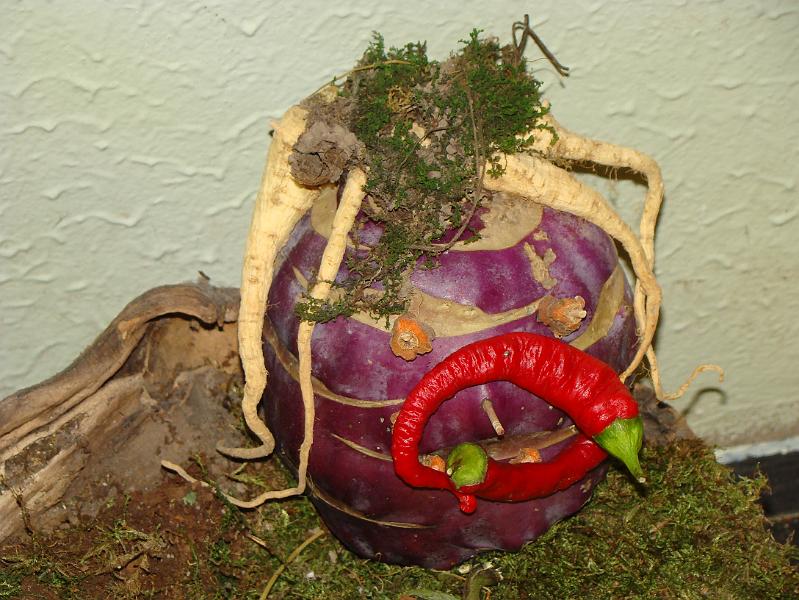 DSC06754.JPG