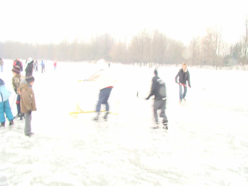 DSC07648.JPG