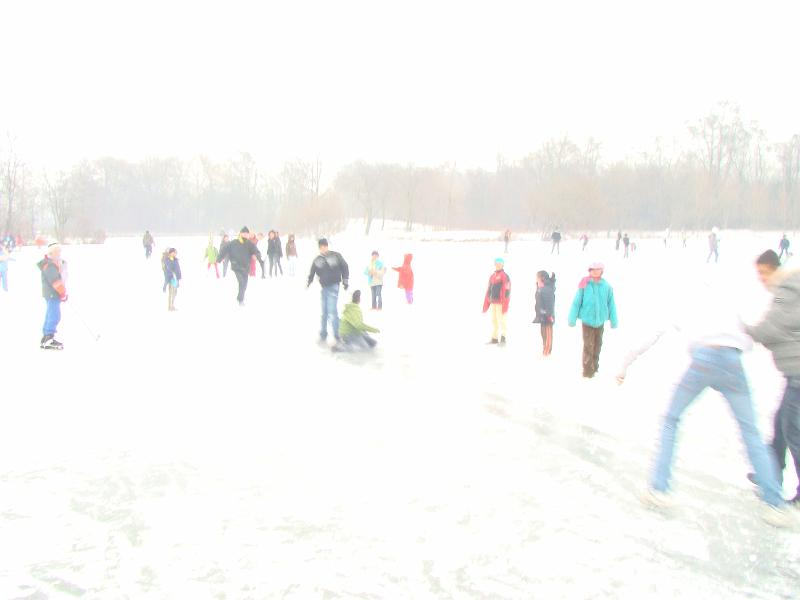 DSC07650.JPG