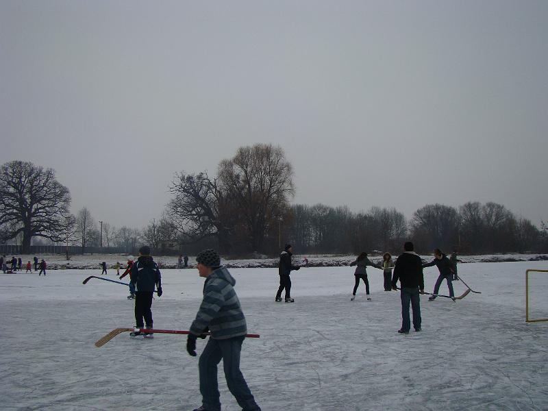 DSC07695.JPG