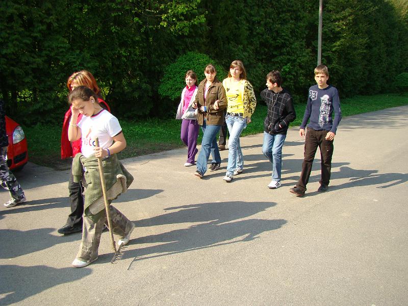 DSC08415.JPG