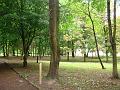 DSC05717