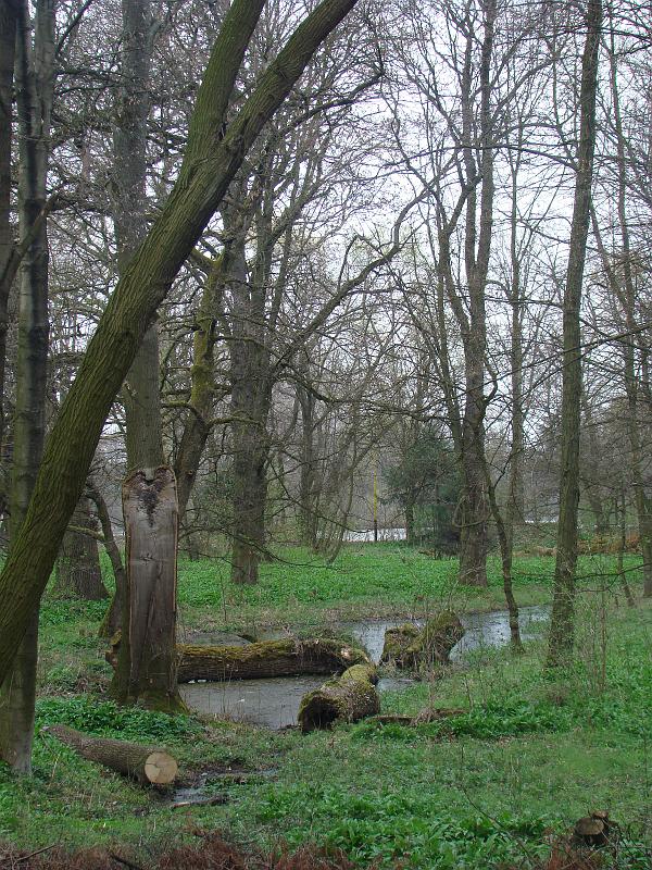 DSC00696.JPG